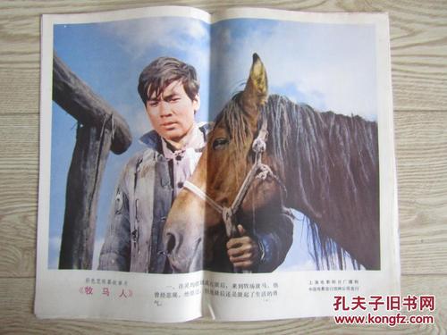 做个假流产证明